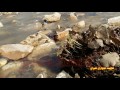 سروشتى كوردستان هاوينه هه وارى هيران كؤرانى هه مه ره نك HD سروشتى كوردستان هاوينه هه وارى هيران كؤرانى هه مه ره نك HD