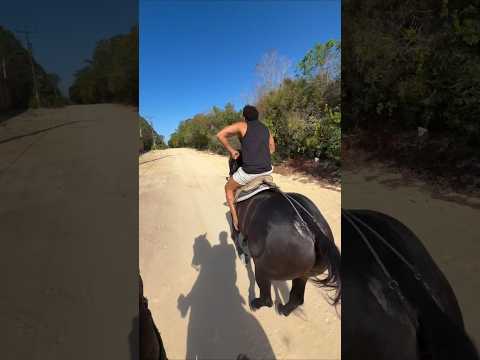 Tirullipa botando os cavalos do Wesley Safadão pra correr