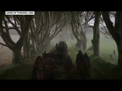 Video: Dark Hedges Z Hry Game Of Throne Strácajú Jeden Strom V Búrke