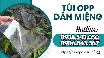 Nhà cung cấp túi bóng kính opp dán miệng giá rẻ