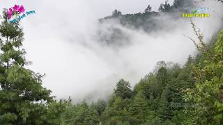 Nepal hilly area forest in summer season l myagdi nangi village