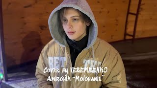 Amirchik - Молчание (cover by VEREMEENKO)