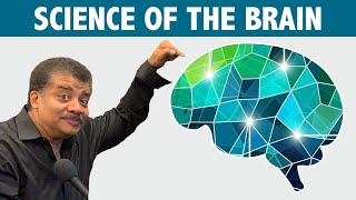 StarTalk Podcast: Science of the Brain with Neil deGrasse Tyson
