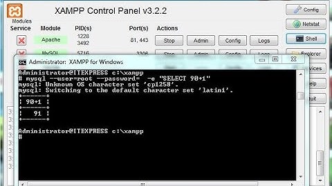 Hướng dẫn đổi mật khẩu tài khoản root trên Xampp bằng câu lệnh cmd