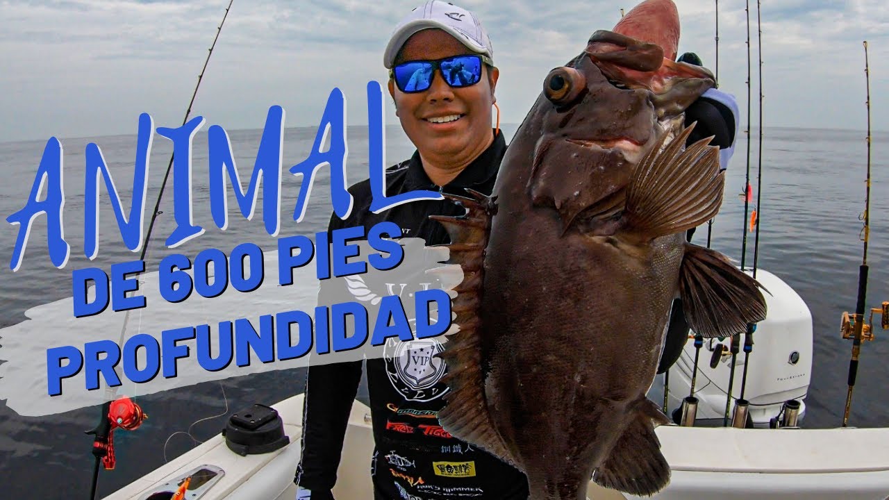JIGGUEANDO A 600 PIES DE PROFUNDIDAD | JIGGING MASTER PANAMÁ