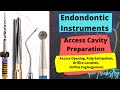 Instruments used in endodontics access opening pulp extirpation orifice location and enlargement