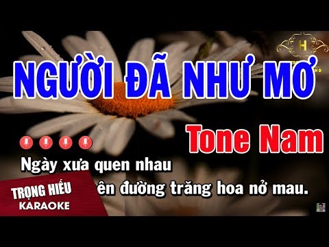 Karaoke Người Đã Như Mơ Tone Nam Nhạc Sống | Trọng Hiếu