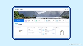 SAP Concur: Reisekosten-Reporting mit Analytics