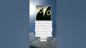 كنت بقرأ قرآن ولقيت الدبانه دي واقفه ع رجلي كدا ومش بتتحرك 