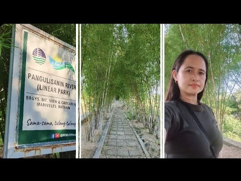 PANGULISANIN RIVER (LINEAR PARK) #nocopyrightmusic #nature #trending