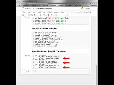 My first choice model with PandasBiogeme 3.2.6 - YouTube