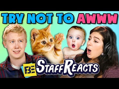 Download TRY NOT TO AWWW CHALLENGE (ft. FBE Staff)