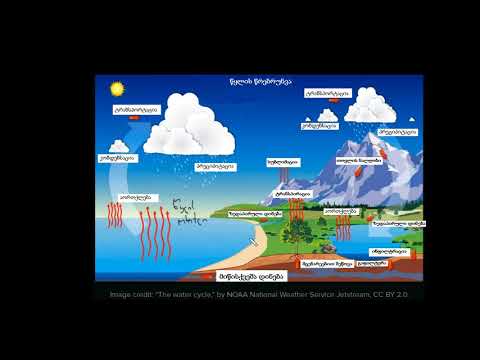 წყლის წრებრუნვა