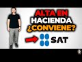 💰 3 Opciones de ALTA EN HACIENDA Para Vender Online [SIN PROBLEMAS] 💰 #TemoValle