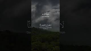 إلا تنصروه فقد نصره الله إذ أخرجه الذين كفروا ثاني اثنين إذ هما في الغار | القارىء عبدالباري الثبيتي