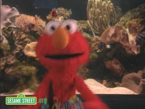 Sesame Street: Ocean Emotion