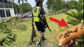 Iguana man Hunting in iguana Territory for a Lizard Lunch. Catch and Cook iguana Steak Sandwich! (4)