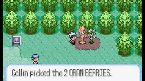 Pokémon Ruby Walkthrough Part 2 - Start To Be A Pokémon Master