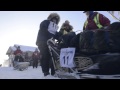 YQ2015 - The Start (quick and dirty)