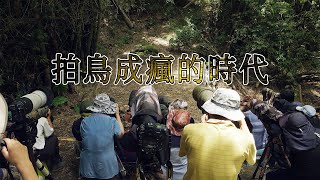 【鳥類攝影】拍鳥成瘋的時代｜生態拍攝倫理的界線 (我們的島 第1064集 2020-07-20)