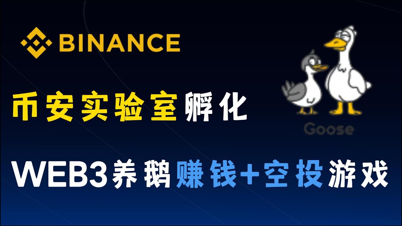 币安实验室孵化，WEB3链上养鹅赚钱+空投游戏, - YouTube