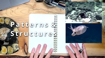 Fieldnotes: Where Art Meets Exploration