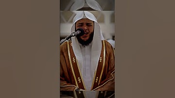 سورة النمل / القارئ محمد عبادة