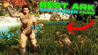 Best RARE FLOWER FARM in Ark Survival Ascended!!! ASTRAEOS RARE FLOWER Secret!!!