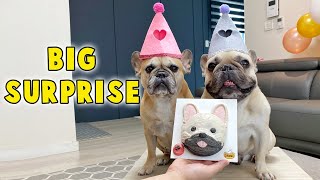 My Dog Gets HUGE Birthday Surprise | Griffin Turns 7