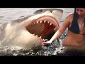Die Besten Hai Angriffe, Die Jemals Mit Der Kamera Aufgenommen Wurden