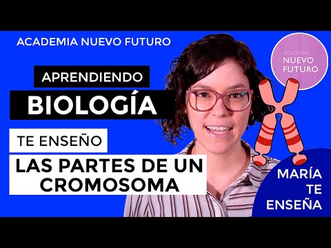 Vídeo: Diferencia Entre Centrómero Y Telómero