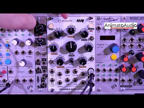 4ms Ensemble Oscillator Overview by Animato Audio