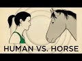 Human Vs. Horse Marathon  | NPR's SKUNK BEAR