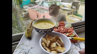 65. Тыквенный суп-пюре, самый простой, проще не бывает. И обезьянка зашла в гости. 65. Тыквенный суп-пюре, самый простой, проще не бывает. И обезьянка зашла в гости.