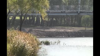 картинка: В Горішніх Плавнях зарибнюють паркове озеро