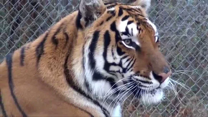 2014 Technology Innovation Award Winner