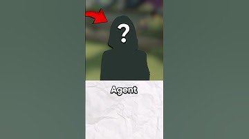 The VALORANT Agent That Was Removed...