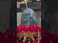 maha shivarathri shivayya#trending#ytshorts