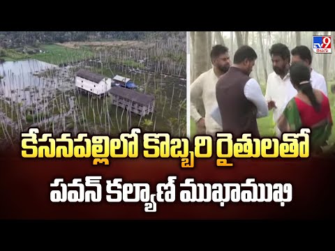 కేసనపల్లిలో కొబ్బరి రైతులతో పవన్ కల్యాణ్ ముఖాముఖి - TV9 - TV9