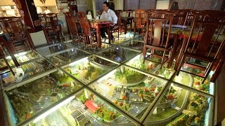 ぶらり圏央道　模型見下ろし鳥の気分　神奈川・茅ケ崎の料理店