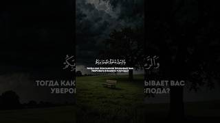 Сура Аль-Хадид Аяты 8-10 Чтец Саад Гамиди