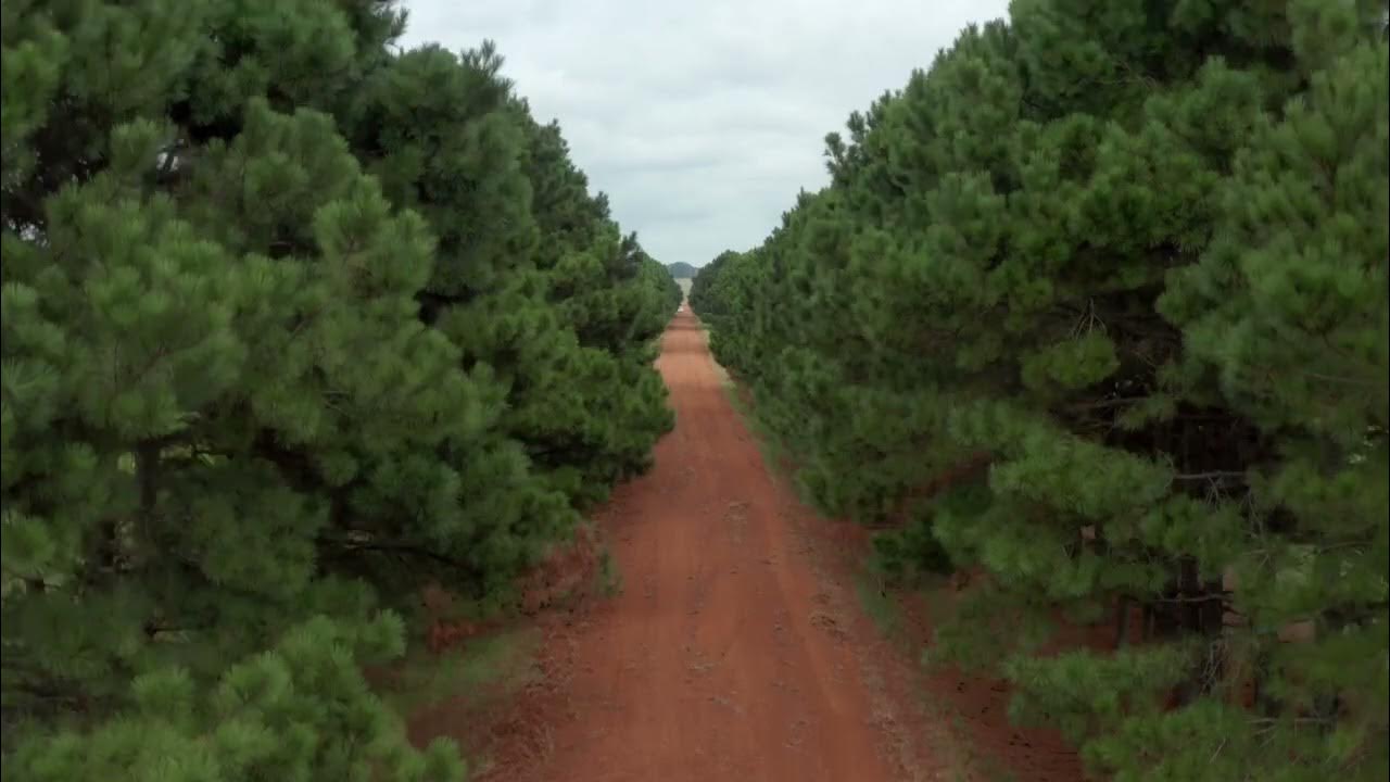Elkhart Ranch Texas Cattle Ranch For Sale Elkhart, Texas YouTube
