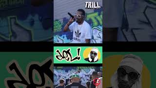 Del The Funky Homosapien Live at Trill Pt 4