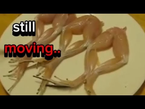 Terrifying: Dead meat moving compilation