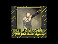 Neil Diamond  &quot;Life &amp; Music of Neil Diamond&quot; 1990 UK Radio Special (Part III 1971-1976)