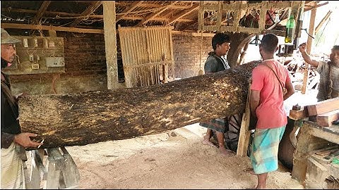 Giant Teak Wood Cutting & Control by Sawmill Near Me/Dangerous Wood Cutting Sawmill Near me