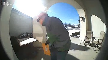 This Good Samaritan Hid His Neighbor