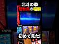 【超プレミア】北斗の拳、激長稲妻