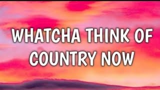 Morgan Wallen - Whatcha Think Of Country Now (Lyrics)