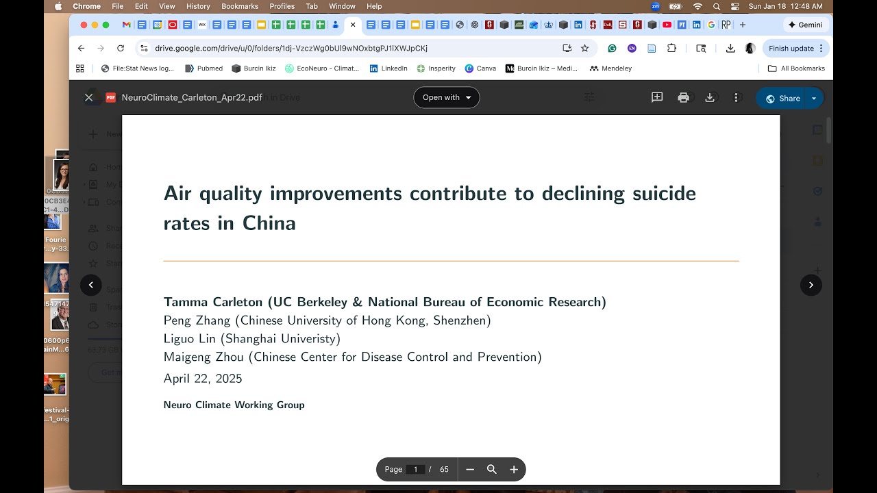 Economic Insights into the Mental Health Effects of Air Pollution